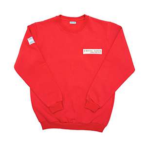 Buzo_frisa_invisible